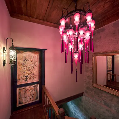 Ida Blue (adults Only)