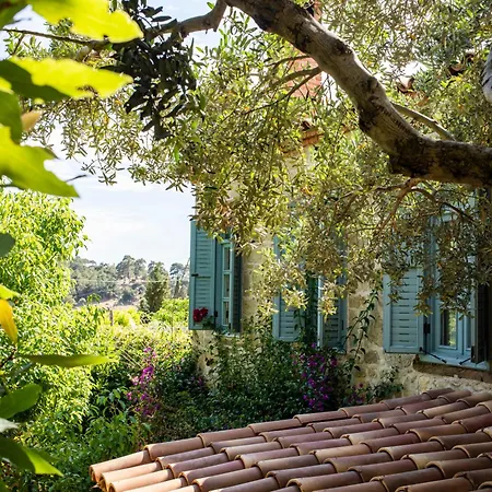 Ida Blue (adults Only) Hotel