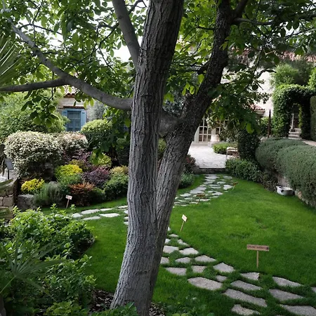 Hotel Ida Blue (adults Only) 2*