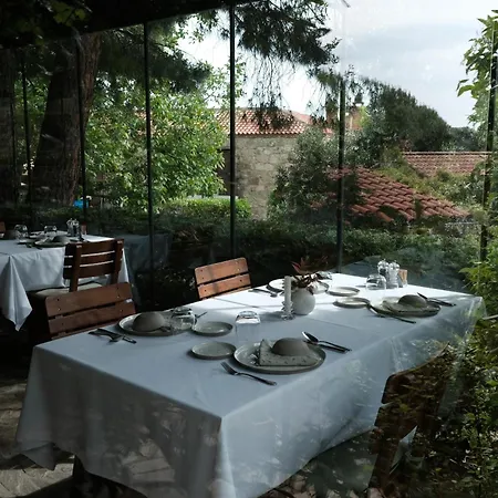 Ida Blue (adults Only) Adatepe